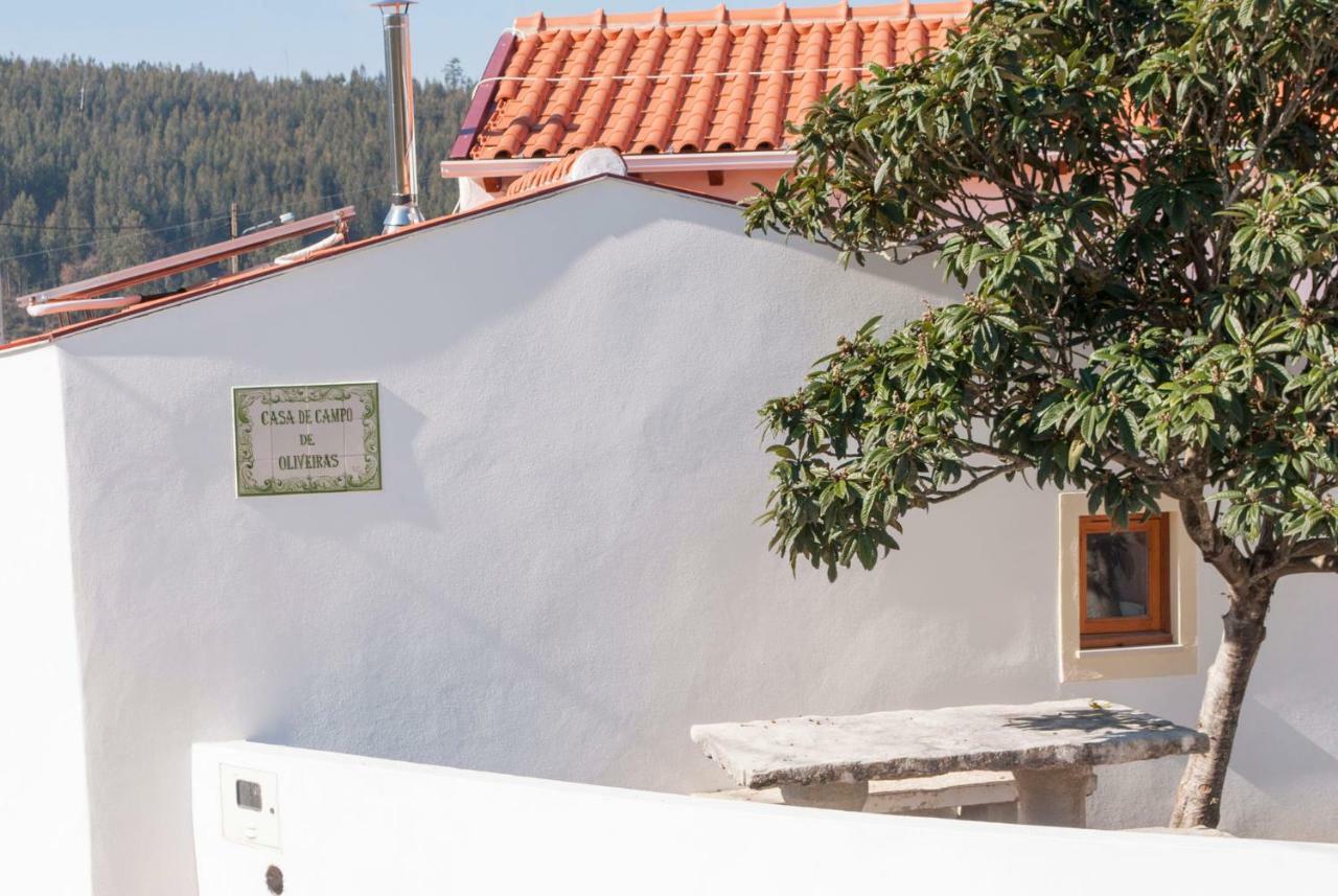 Casa De Campo De Oliveiras Penela Buitenkant foto
